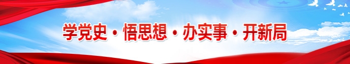 学党史·悟思想·办实事·开新局