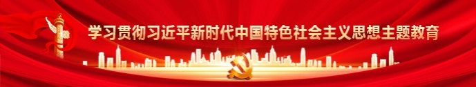 学习贯彻习近平新时代中国特色社会主义思想主题教育