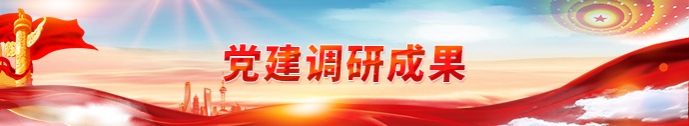 党建调研成果